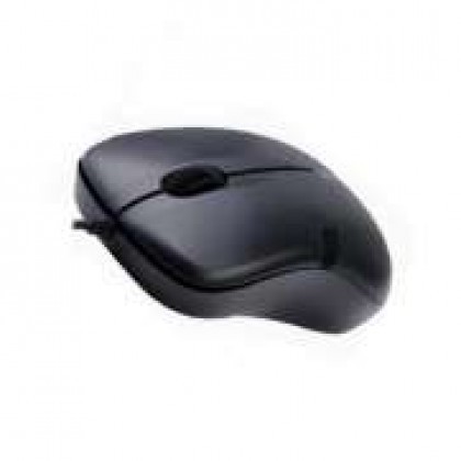 Black Isolated Computer Mouse